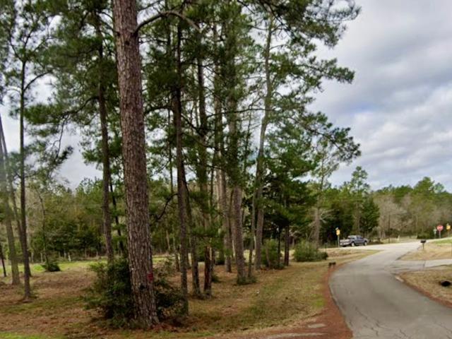 Land for sale in Richards, Texas