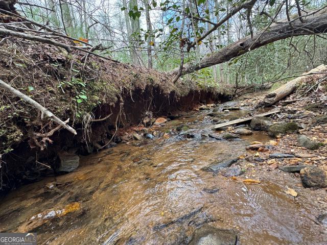 Land for sale in Georgia