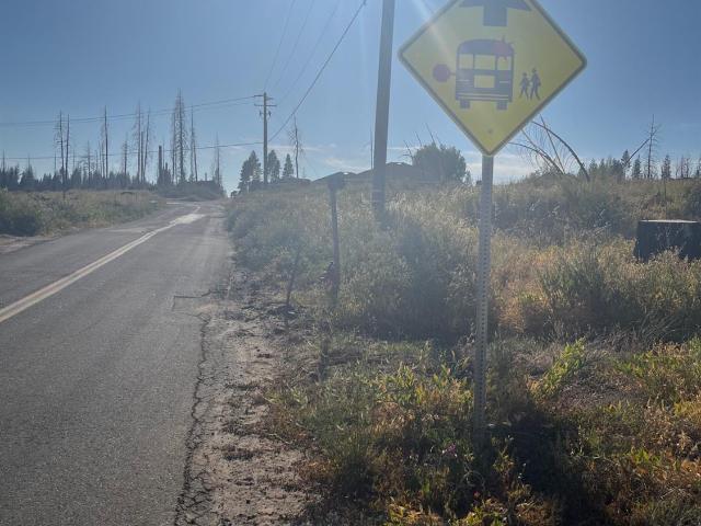 Land for sale in Grizzly Flats, California