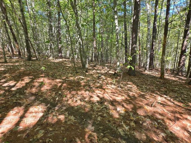 Land for sale in New Hampshire