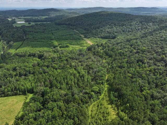 Land for sale in Blount, Alabama
