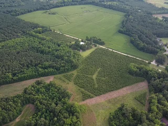Land for sale in South Carolina