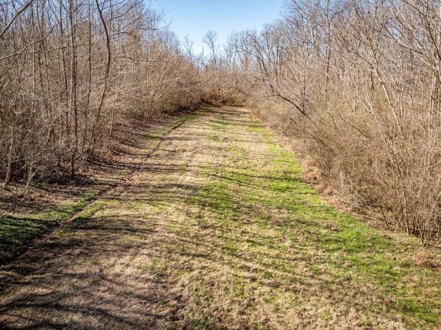 Farm for sale in Tennessee