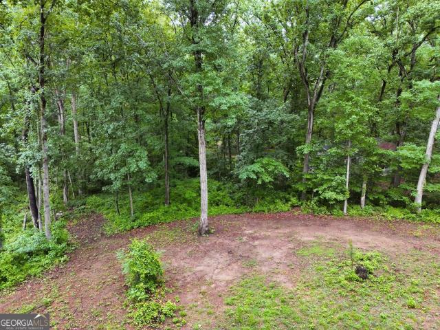 Land for sale in Stockbridge, Georgia