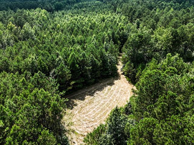 Land for sale in Tennessee