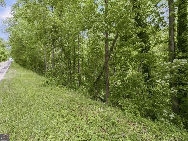 Land for sale in Demorest, Georgia
