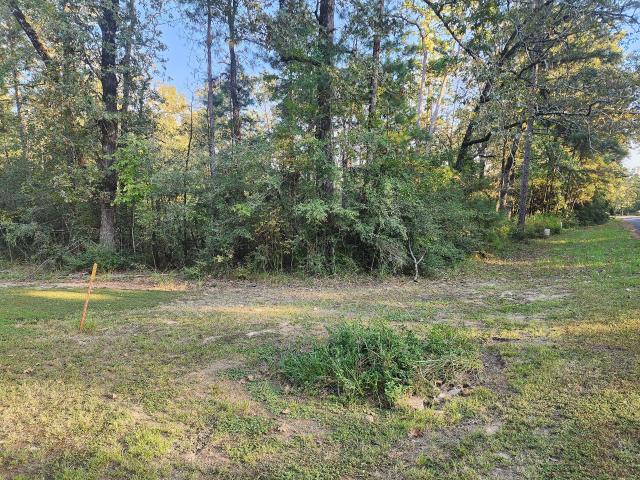 Land for sale in Onalaska, Polk County
