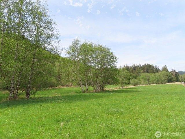 Land for sale in Mossyrock, Washington