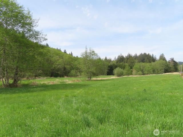Land for sale in Mossyrock, Washington