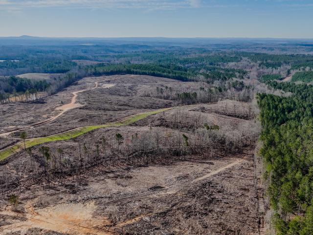 Land for sale in Haralson, Georgia