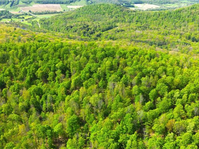 Land for sale in Great Valley, New York