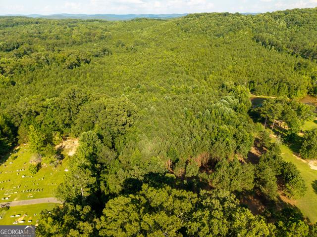 Land for sale in Summerville, Georgia