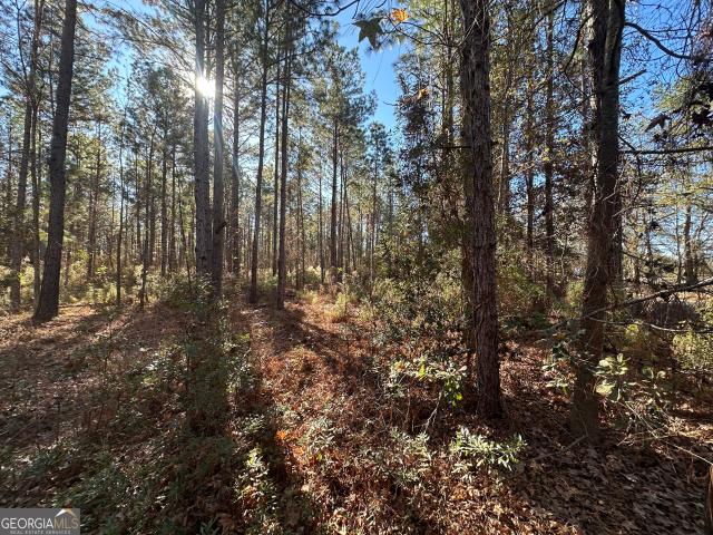Land for sale in Screven, Georgia