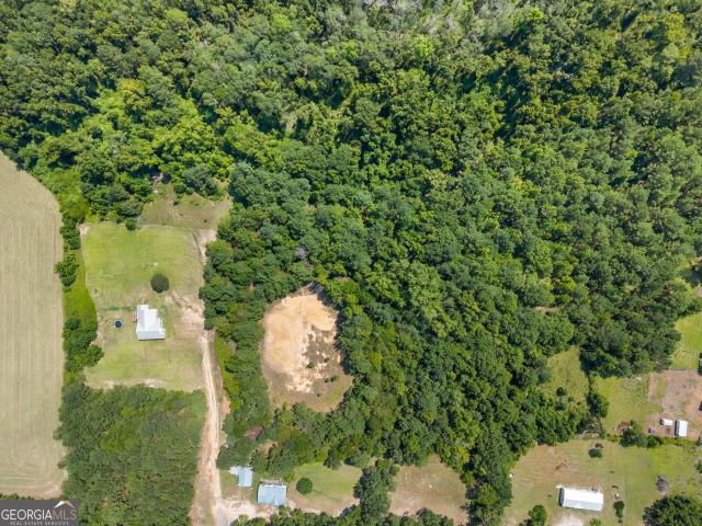 Land for sale in Sylvania, Screven County