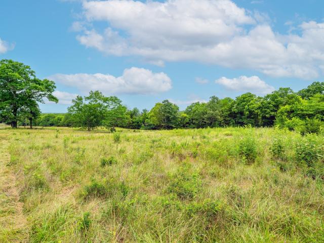 Farm for sale in Watertown, Middle Tennessee