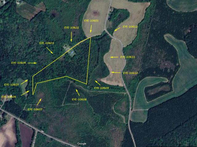 Land for sale in Vance, South Carolina