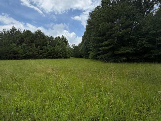 Land for sale in Sumiton, Alabama