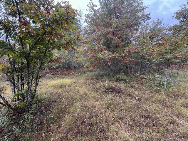 Land for sale in Michigan