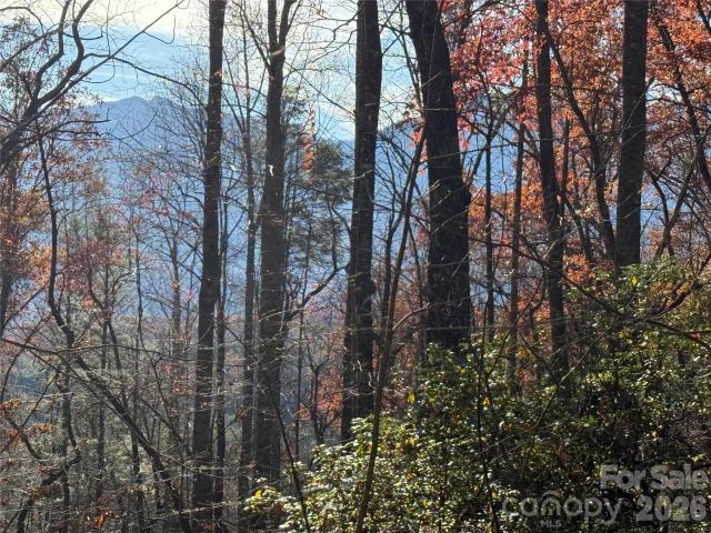 Land for sale in Yancey, North Carolina