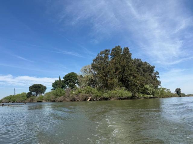 Land for sale in Walnut Grove, California