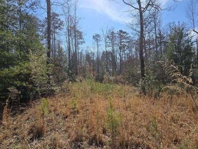 Land for sale in Marietta, South Carolina