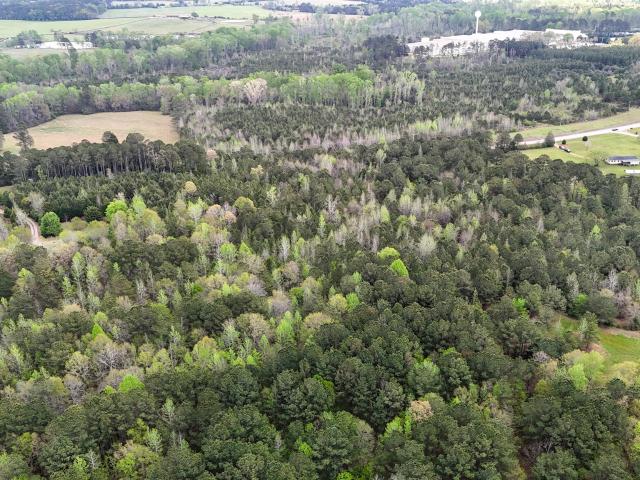 Land for sale in Pine Mountain, Georgia