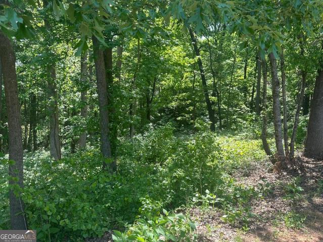 Land for sale in Banks, Georgia