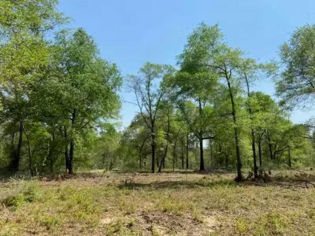 House for rent in Mobile