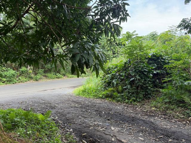 Property for sale in Kīpahulu, Hana