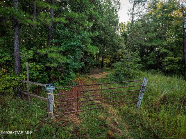 Land for sale in Eupora, Mississippi
