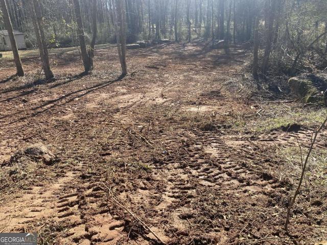 Land for sale in Barnesville, Georgia