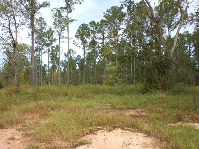 Land for sale in Keysville, Georgia