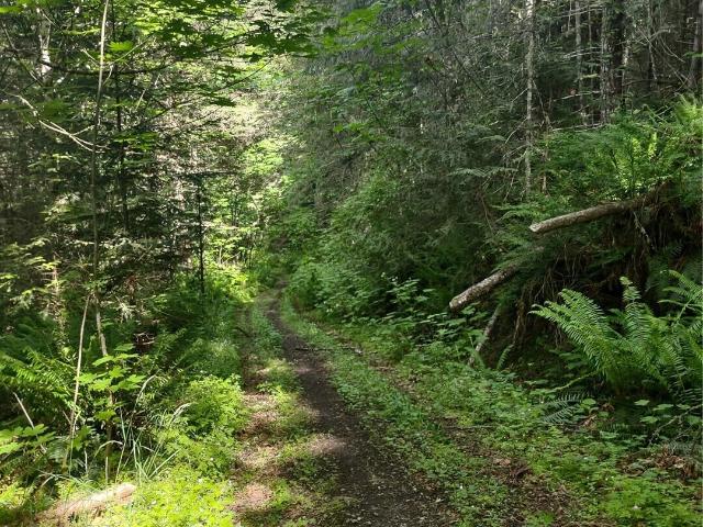 Land for sale in Port Angeles, Washington