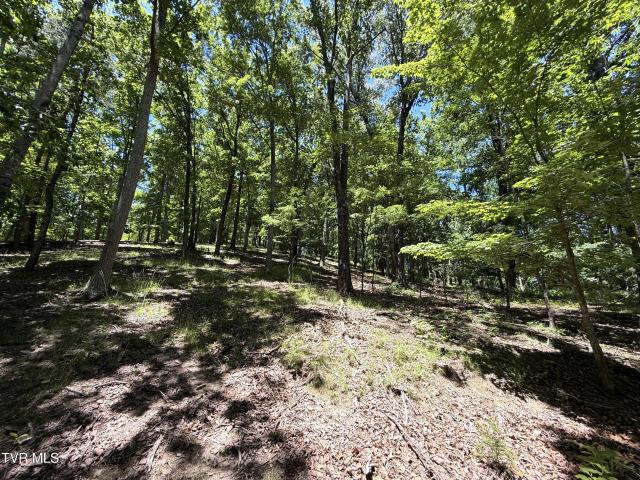 Land for sale in Tennessee