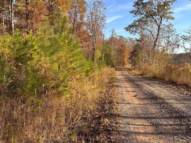 Land for sale in Wedowee, Alabama