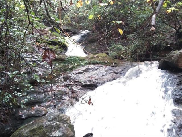 Land for sale in Rutherford, North Carolina