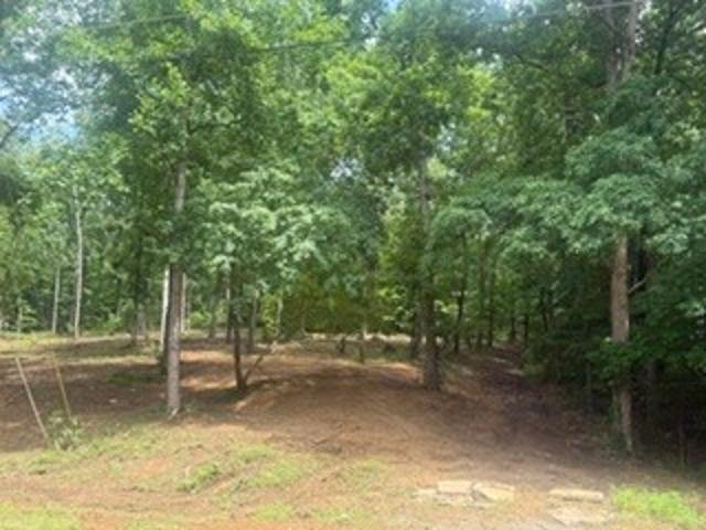 Land for sale in Tennessee