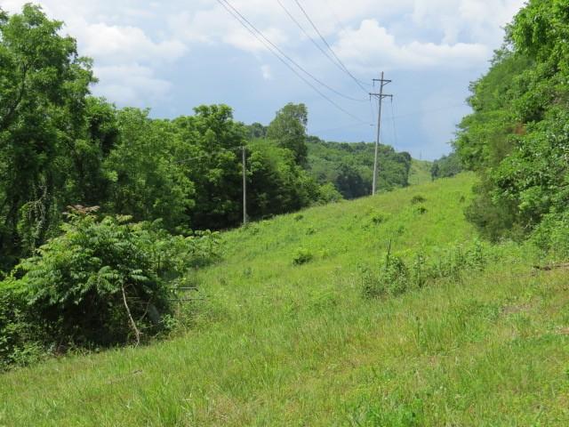 Land for sale in Tennessee