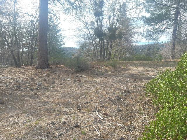 Land for sale in Green Valley Lake, California
