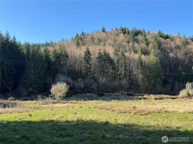 Land for sale in Pe Ell, Washington