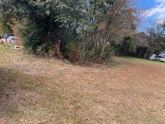 Land for sale in Elloree, South Carolina