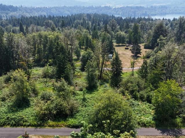 Land for sale in Mossyrock, Lewis County