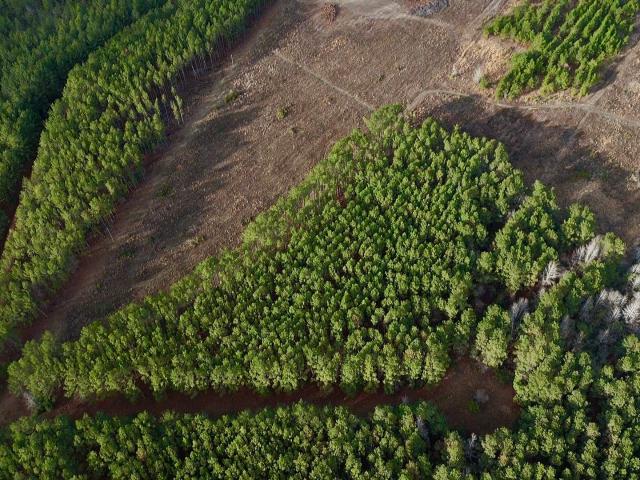 Land for sale in Milan, Georgia