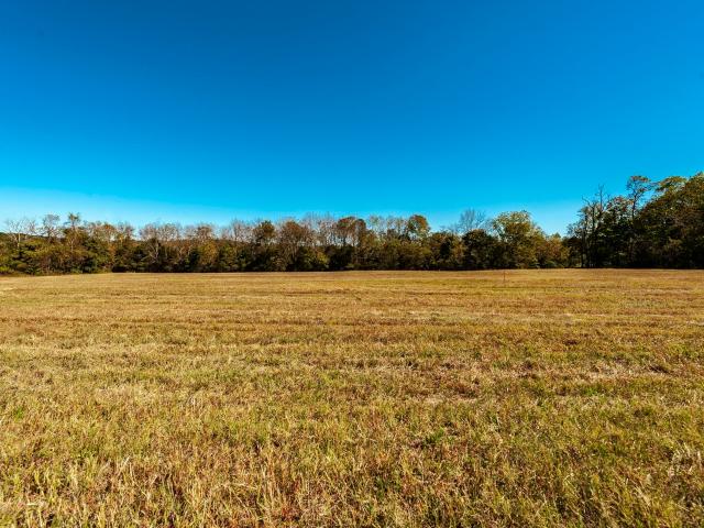 Land for sale in Tennessee