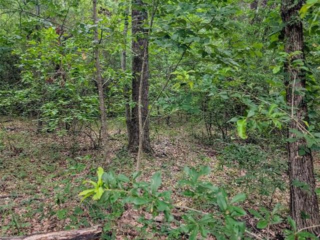 Land for sale in Malakoff