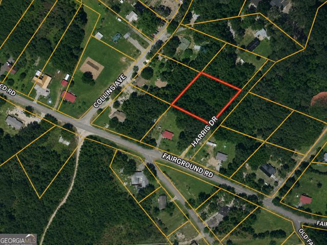 Land for sale in Carlton, Georgia
