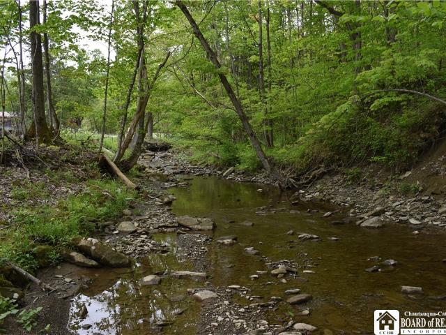 Land for sale in Cherry Creek, New York