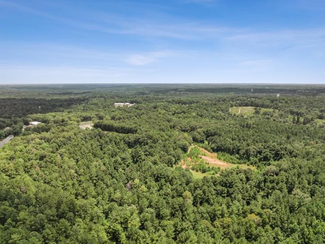 Land for sale in Ozark, Dale County