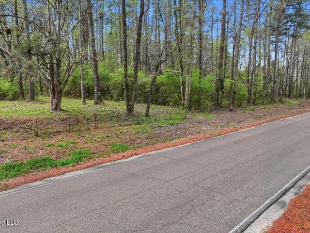 Land for sale in Braxton, Mississippi