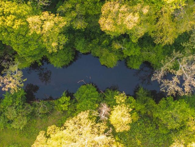 Land for sale in Virginia